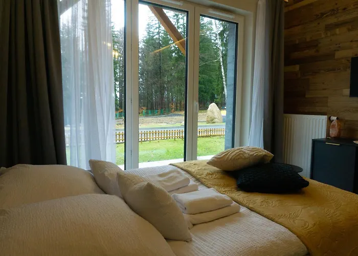 Widok Na Las, Pod Reglami