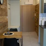 Widok Na Las, Pod Reglami Schreiberhau