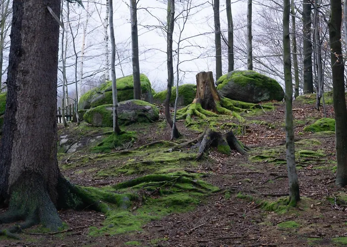 Widok Na Las, Pod Reglami *